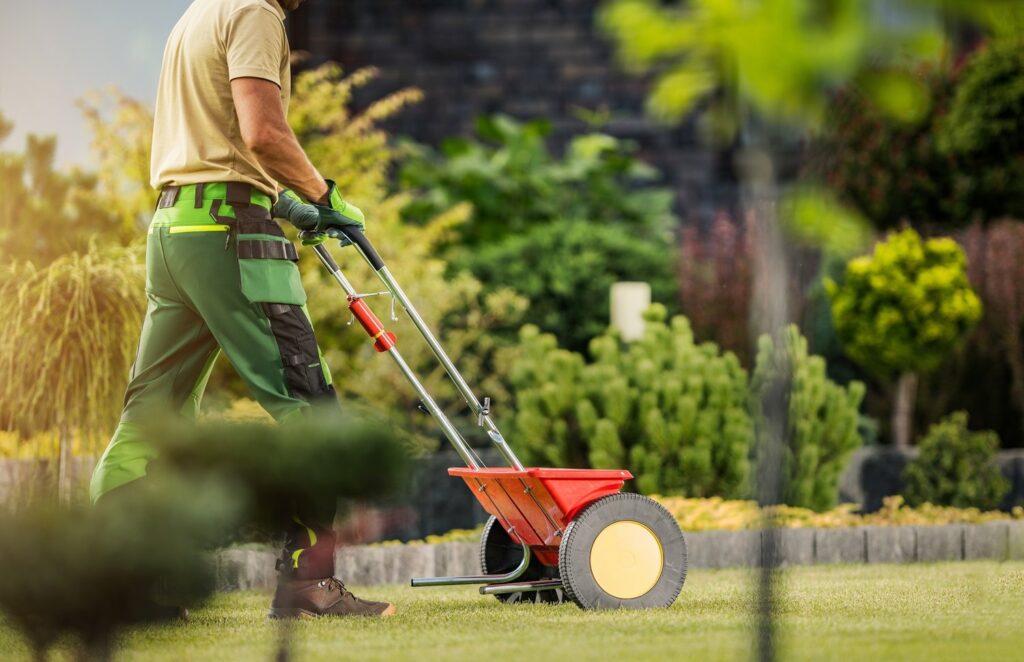 Lawn Mowing Services